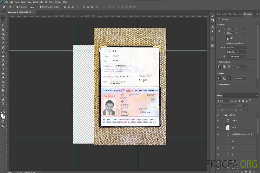 Look de photo de passeport cambodgien template